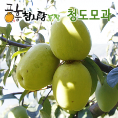 [상품] 명품 청도 햇 모과 5KG (12~15과 내외)